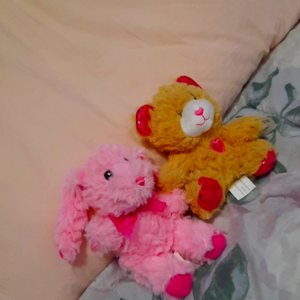 Two teddy bears